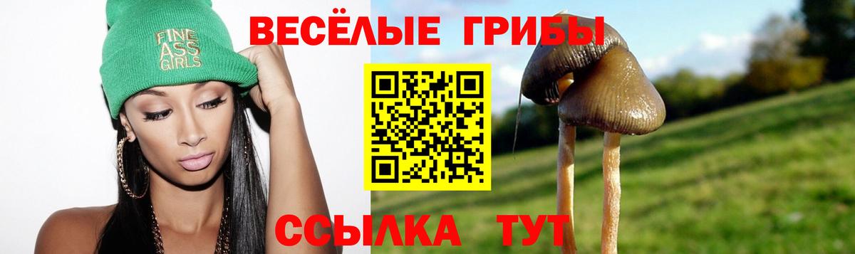 Галлюциногенные грибы MAGIC MUSHROOMS Волжск